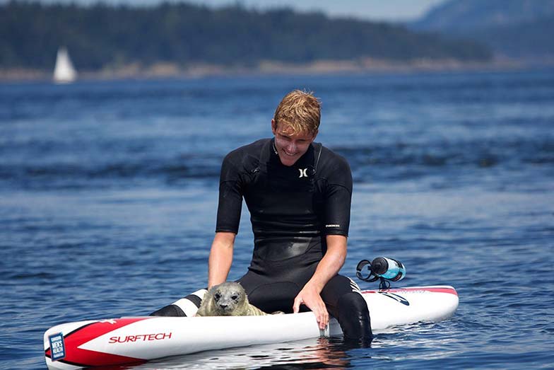 A baby seal catches a ride with one of Stand Up For Men’s Health paddle boarders