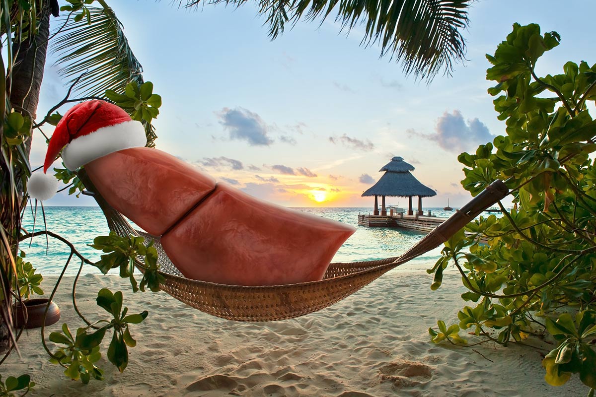 A liver relaxing on vacation