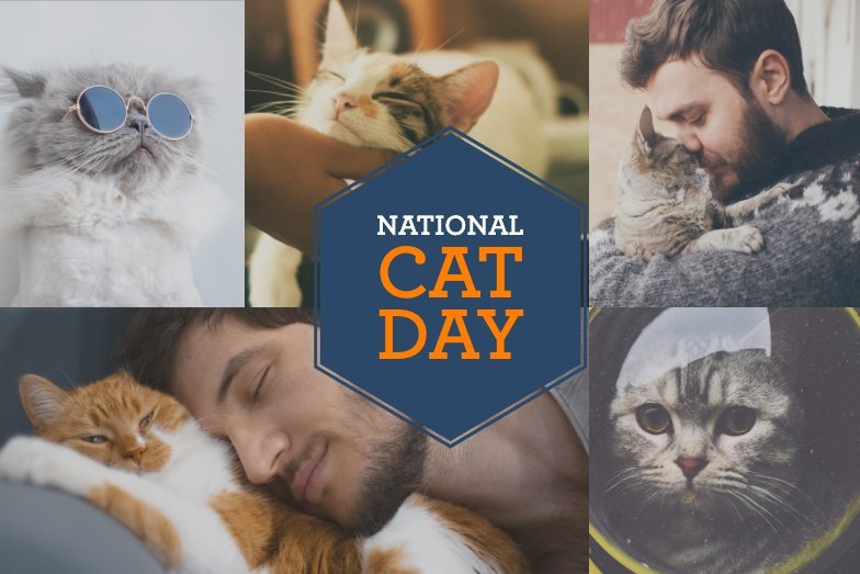 National Cat Day