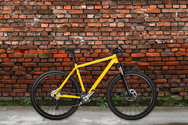 DCM BikeTypes mountain 600x400 1