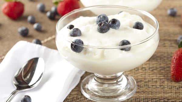 High protein Greek yogurt