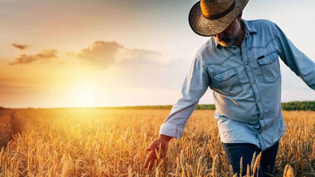 rural man in farmer's field