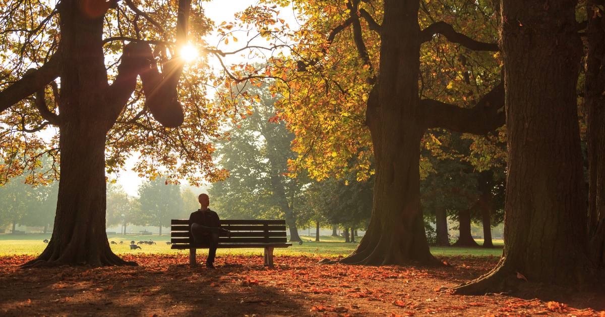 man sitting alone on sunny park bench in autumn